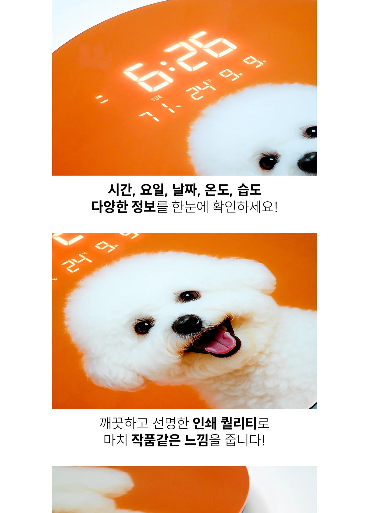 아모란나 아이코닉 포토 디지털 벽시계 상세 이미지 31