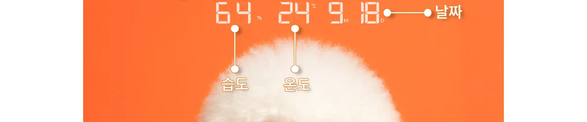 아모란나 아이코닉 포토 디지털 벽시계 상세 이미지 30